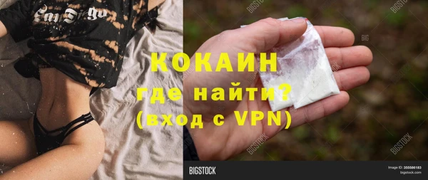 крисы Аркадак
