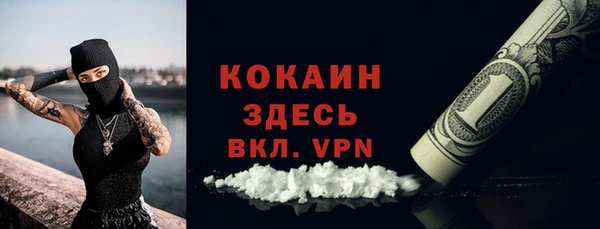 крисы Аркадак