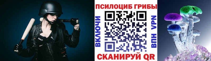 Галлюциногенные грибы Psilocybine cubensis  Балабаново 