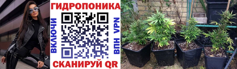 Бошки Шишки OG Kush  Балабаново 
